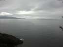 ./images/koeye/fitz-hugh/20180520/fitz-hugh20180520_101502.jpg