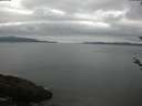 ./images/koeye/fitz-hugh/20180520/fitz-hugh20180520_110501.jpg