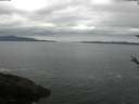 ./images/koeye/fitz-hugh/20180520/fitz-hugh20180520_125502.jpg