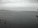 ./images/koeye/fitz-hugh/20180521/fitz-hugh20180521_044001.jpg