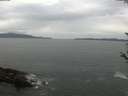 ./images/koeye/fitz-hugh/20180522/fitz-hugh20180522_164501.jpg