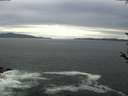 ./images/koeye/fitz-hugh/20180522/fitz-hugh20180522_185501.jpg
