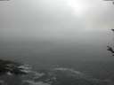 ./images/koeye/fitz-hugh/20180523/fitz-hugh20180523_053501.jpg
