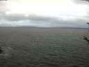 ./images/koeye/fitz-hugh/20180523/fitz-hugh20180523_212001.jpg