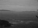 ./images/koeye/fitz-hugh/20180524/fitz-hugh20180524_043501.jpg
