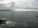 ./images/koeye/fitz-hugh/20180524/fitz-hugh20180524_070502.jpg