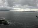 ./images/koeye/fitz-hugh/20180524/fitz-hugh20180524_072002.jpg