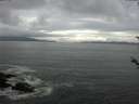./images/koeye/fitz-hugh/20180524/fitz-hugh20180524_072502.jpg