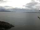./images/koeye/fitz-hugh/20180525/fitz-hugh20180525_052001.jpg