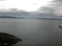 ./images/koeye/fitz-hugh/20180525/fitz-hugh20180525_054001.jpg
