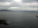 ./images/koeye/fitz-hugh/20180525/fitz-hugh20180525_082001.jpg
