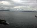 ./images/koeye/fitz-hugh/20180525/fitz-hugh20180525_082501.jpg