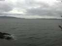 ./images/koeye/fitz-hugh/20180525/fitz-hugh20180525_130502.jpg