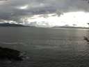 ./images/koeye/fitz-hugh/20180525/fitz-hugh20180525_191502.jpg