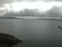./images/koeye/fitz-hugh/20180526/fitz-hugh20180526_044001.jpg