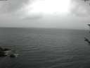 ./images/koeye/fitz-hugh/20180526/fitz-hugh20180526_102501.jpg