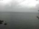 ./images/koeye/fitz-hugh/20180526/fitz-hugh20180526_103501.jpg