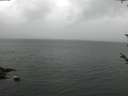 ./images/koeye/fitz-hugh/20180526/fitz-hugh20180526_104501.jpg
