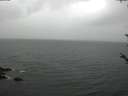 ./images/koeye/fitz-hugh/20180526/fitz-hugh20180526_105501.jpg