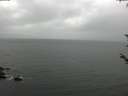./images/koeye/fitz-hugh/20180526/fitz-hugh20180526_111501.jpg