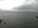 ./images/koeye/fitz-hugh/20180526/fitz-hugh20180526_112501.jpg