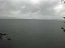 ./images/koeye/fitz-hugh/20180526/fitz-hugh20180526_120502.jpg