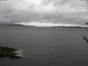./images/koeye/fitz-hugh/20180526/fitz-hugh20180526_145502.jpg