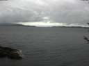 ./images/koeye/fitz-hugh/20180526/fitz-hugh20180526_150502.jpg
