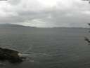 ./images/koeye/fitz-hugh/20180526/fitz-hugh20180526_155501.jpg
