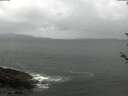 ./images/koeye/fitz-hugh/20180526/fitz-hugh20180526_162001.jpg