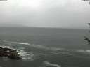 ./images/koeye/fitz-hugh/20180526/fitz-hugh20180526_204001.jpg