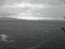 ./images/koeye/fitz-hugh/20180526/fitz-hugh20180526_221501.jpg