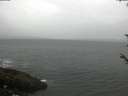 ./images/koeye/fitz-hugh/20180527/fitz-hugh20180527_063501.jpg