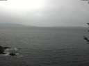 ./images/koeye/fitz-hugh/20180527/fitz-hugh20180527_112501.jpg