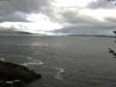 ./images/koeye/fitz-hugh/20180528/fitz-hugh20180528_090502.jpg