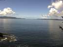 ./images/koeye/fitz-hugh/20180528/fitz-hugh20180528_115502.jpg