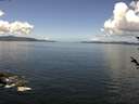 ./images/koeye/fitz-hugh/20180528/fitz-hugh20180528_121502.jpg