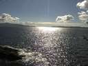 ./images/koeye/fitz-hugh/20180528/fitz-hugh20180528_165501.jpg