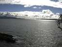 ./images/koeye/fitz-hugh/20180529/fitz-hugh20180529_173501.jpg