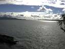 ./images/koeye/fitz-hugh/20180529/fitz-hugh20180529_174001.jpg
