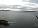 ./images/koeye/fitz-hugh/20180530/fitz-hugh20180530_052002.jpg
