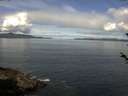 ./images/koeye/fitz-hugh/20180530/fitz-hugh20180530_100501.jpg
