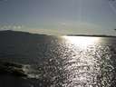 ./images/koeye/fitz-hugh/20180530/fitz-hugh20180530_173502.jpg