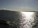 ./images/koeye/fitz-hugh/20180530/fitz-hugh20180530_174002.jpg