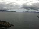 ./images/koeye/fitz-hugh/20180531/fitz-hugh20180531_112501.jpg