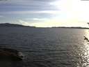 ./images/koeye/fitz-hugh/20180531/fitz-hugh20180531_192502.jpg
