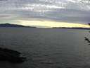 ./images/koeye/fitz-hugh/20180531/fitz-hugh20180531_202002.jpg