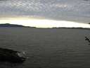 ./images/koeye/fitz-hugh/20180531/fitz-hugh20180531_204001.jpg