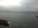 ./images/koeye/fitz-hugh/20180601/fitz-hugh20180601_064502.jpg