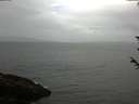 ./images/koeye/fitz-hugh/20180601/fitz-hugh20180601_095501.jpg